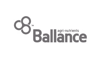 Ballance