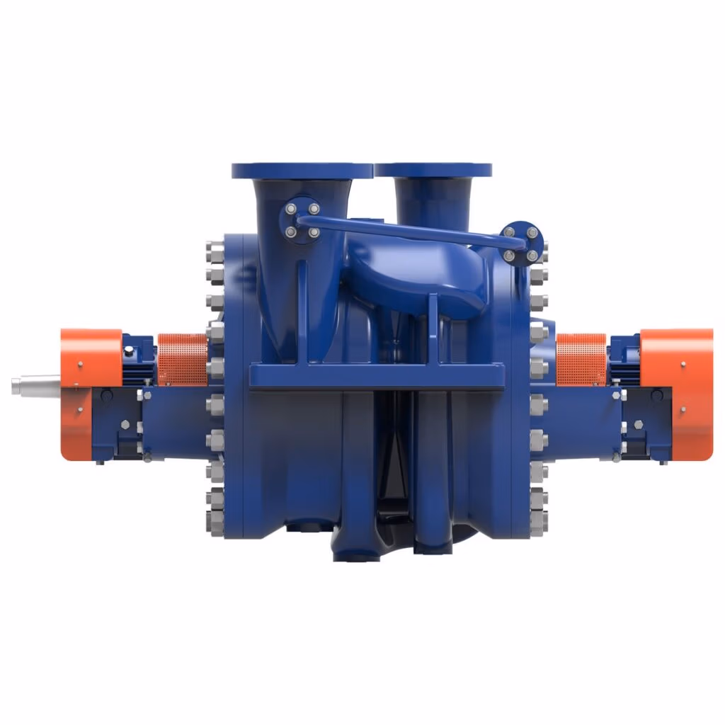 Gabbioneta Pumps® Termomeccanica Pompe DH & DDH BB2 Type API 610 Centrifugal Pump product - side view