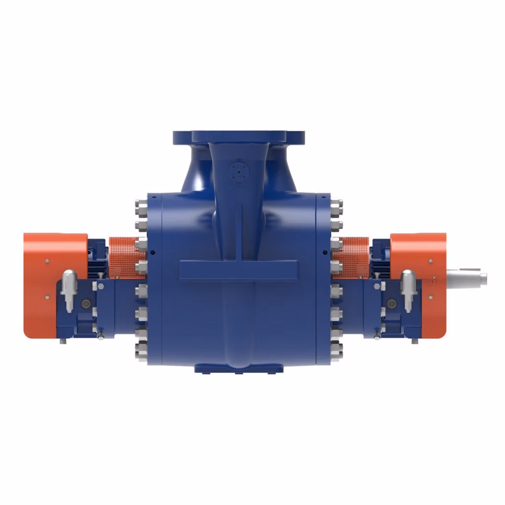 Gabbioneta Pumps® Termomeccanica Pompe DSA BB2 Type API 610 Centrifugal Pump product - side view
