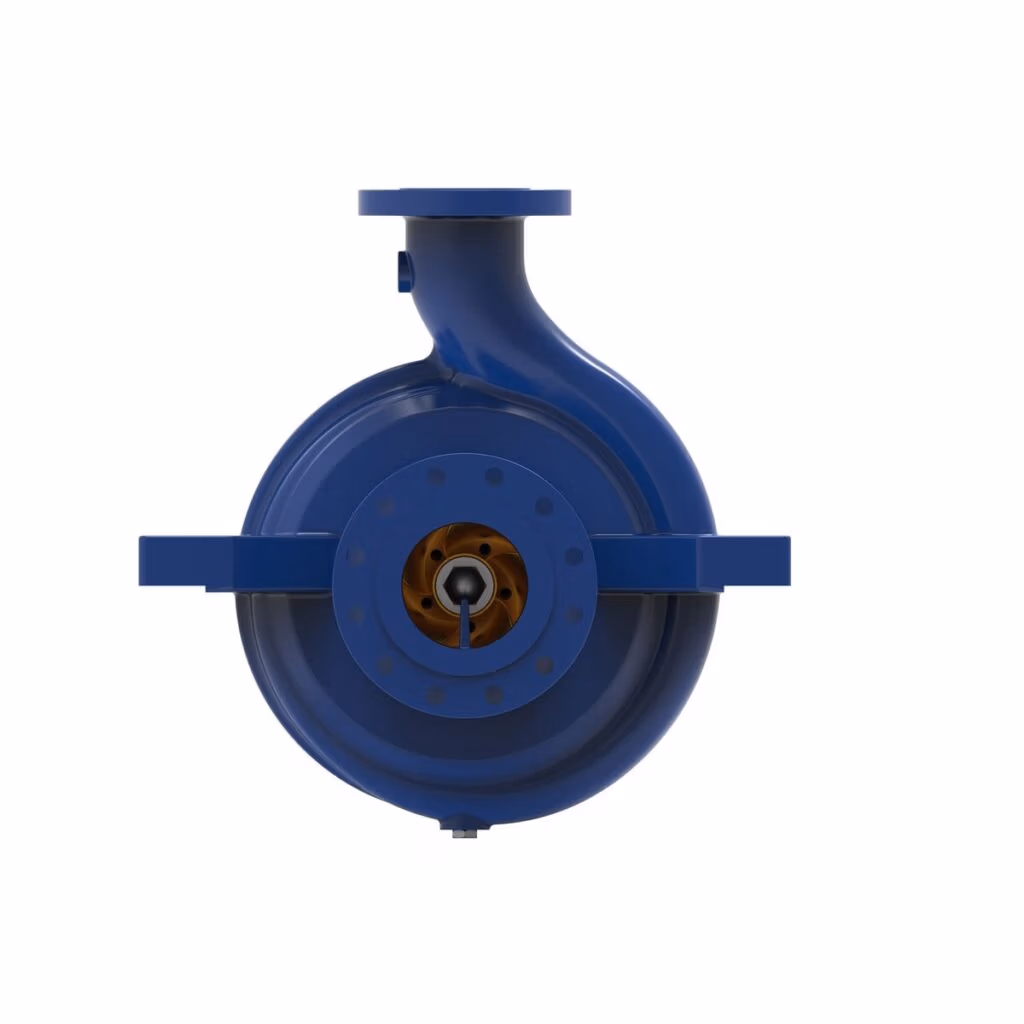 Gabbioneta Pumps® Termomeccanica Pompe R OH2 type API 610 Centrifugal Pump product - end view