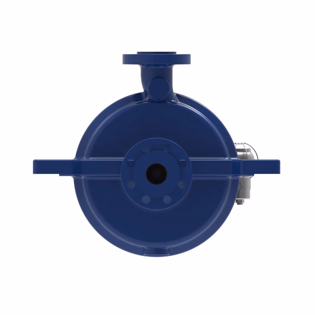 Gabbioneta Pumps® Termomeccanica Pompe RL OH2 type API 610 Centrifugal Pump product - end view