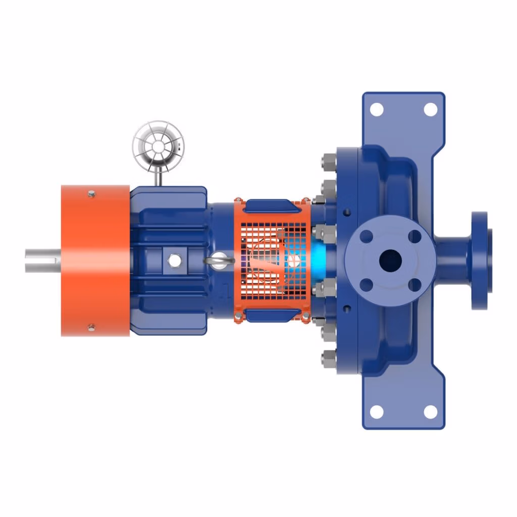 Gabbioneta Pumps® Termomeccanica Pompe RL OH2 type API 610 Centrifugal Pump